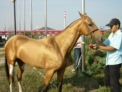 20071003-00.JPG